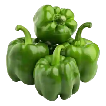 capsicum green 1kg