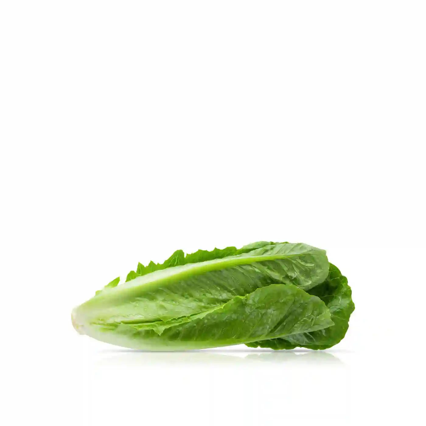 roman Lettuce 1kg