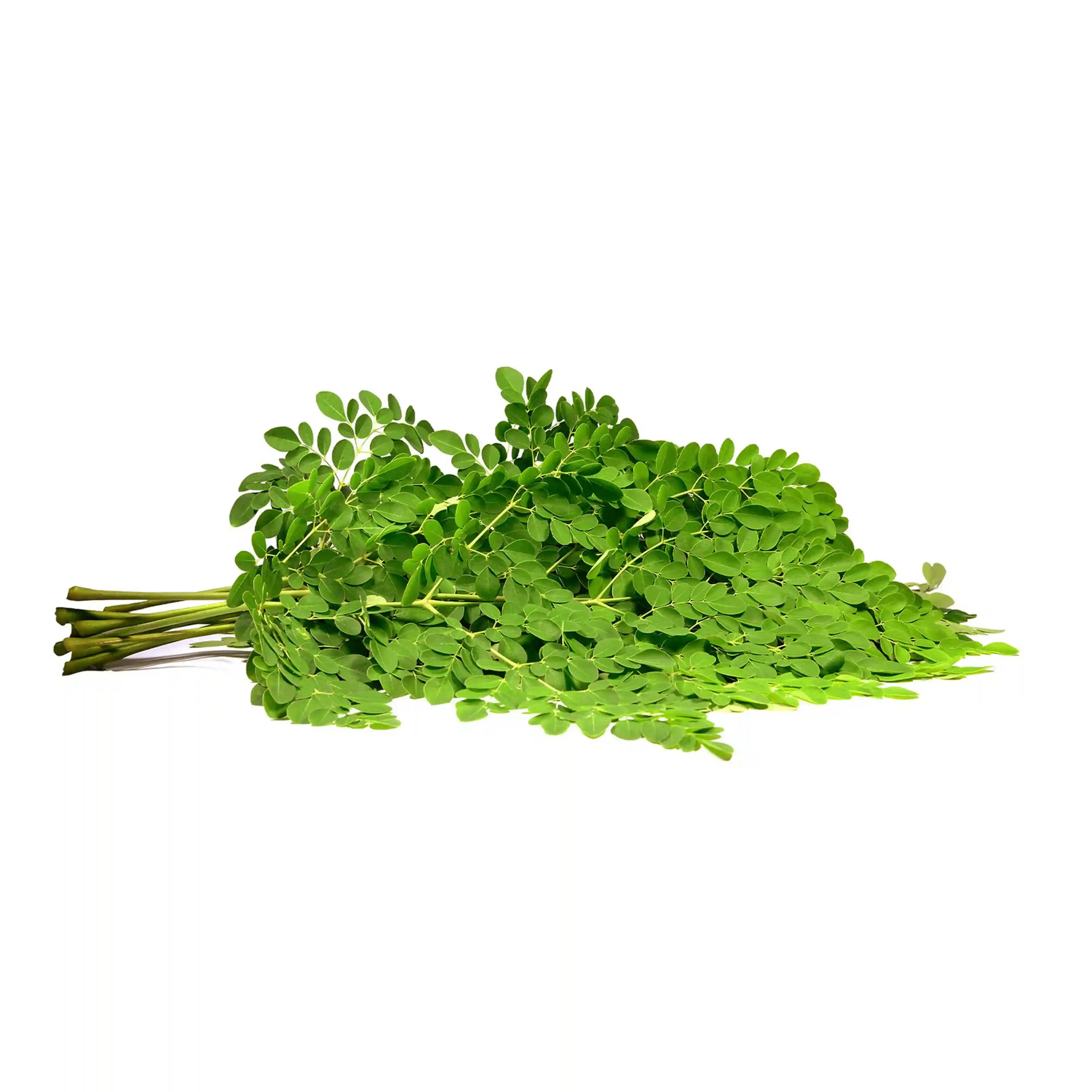 Drumstick leaves