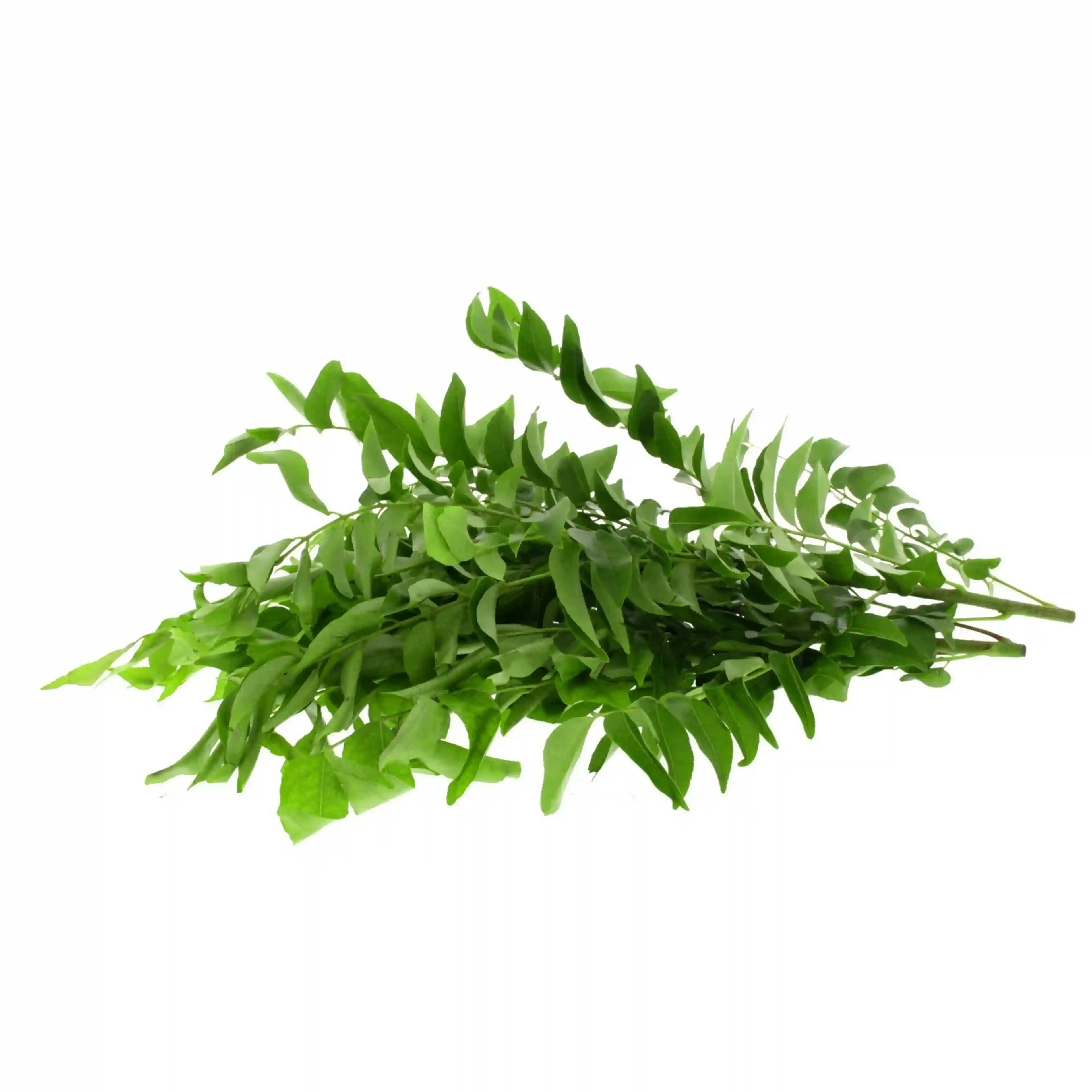 curry leaves