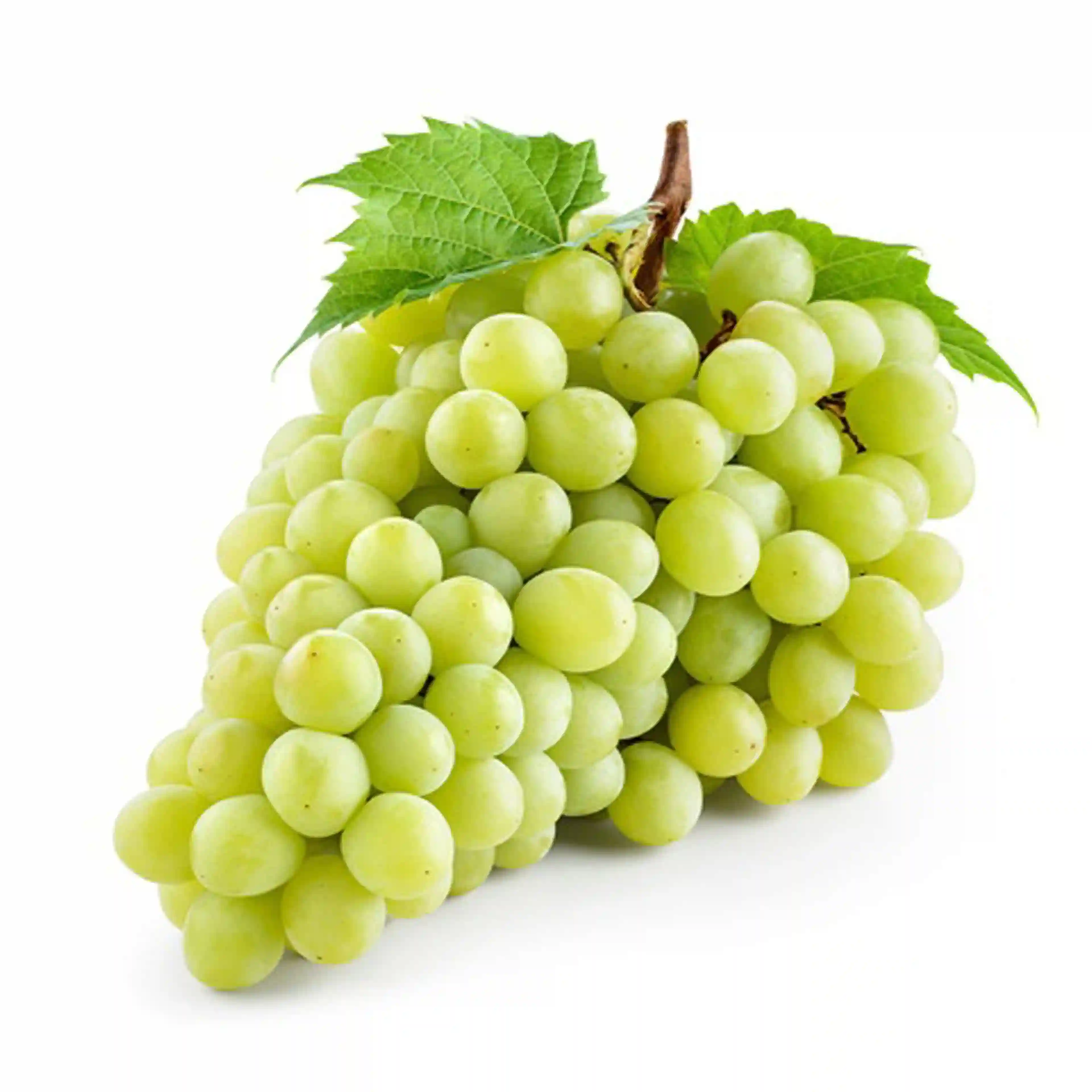 White Seedless Grapes