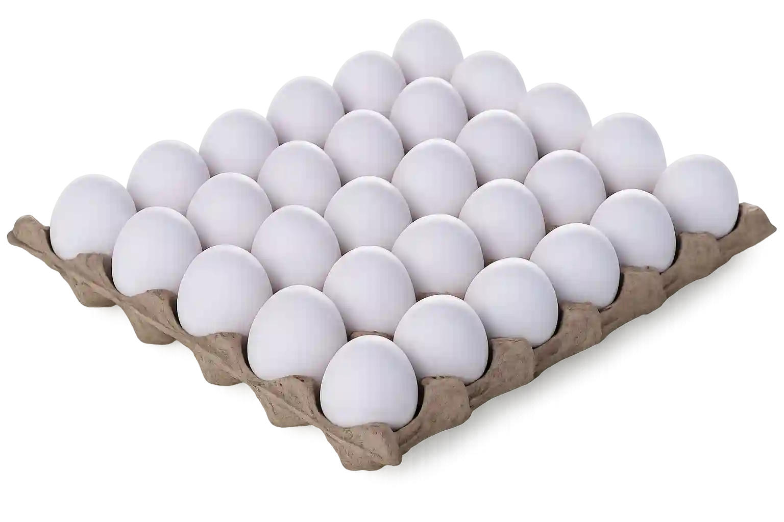 fresh white egg 30 pcs