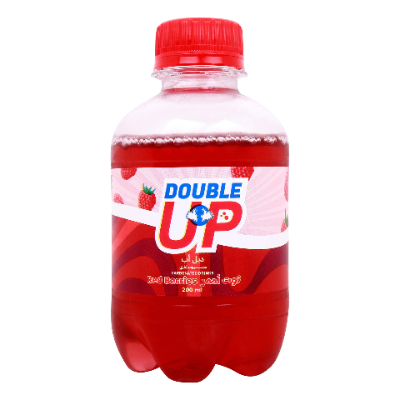 Double Up Red Berries Drink Bottle, 200ML