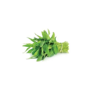 KANGKONG