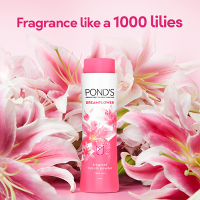 Ponds Dream Flower Talc 300 GM