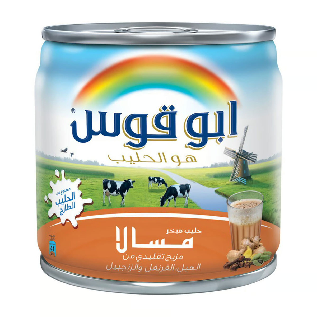 Rainbow Masala Evaporated Milk, 170g