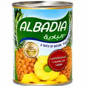 Albadia Pineapple Slices in Syrup 565GM