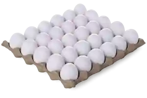 fresh white egg 30 pcs