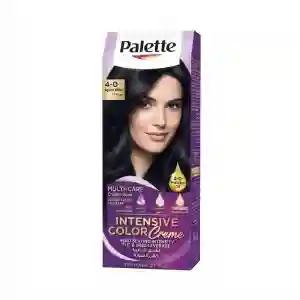 Palette Intensive/Naturals Hair Color4-0