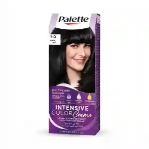 Palette Intensive/Naturals Hair Color Astrd