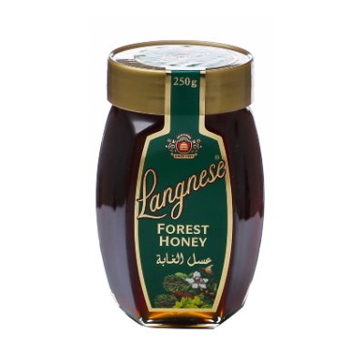 Langnese Forest Honey 255 GM